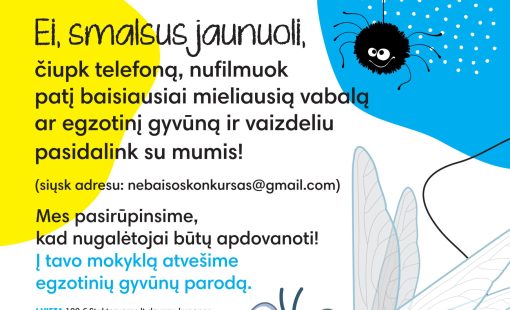 plakatas konkursas su adresu.indd