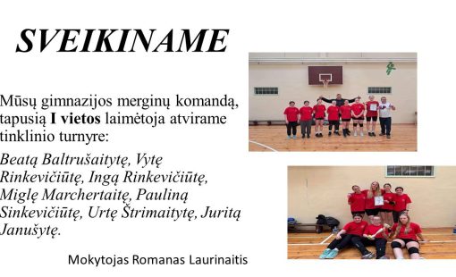 tinklinis merginu